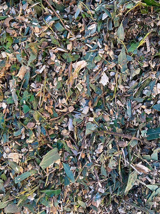 Leaf Mulch