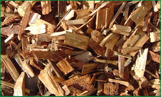 Hardwood Chip