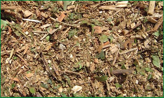 Leaf Mulch