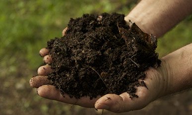 Organic Compost