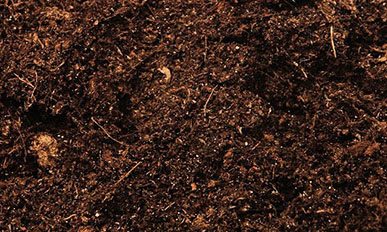 Potting Mix