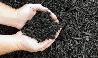 Soil Improver
