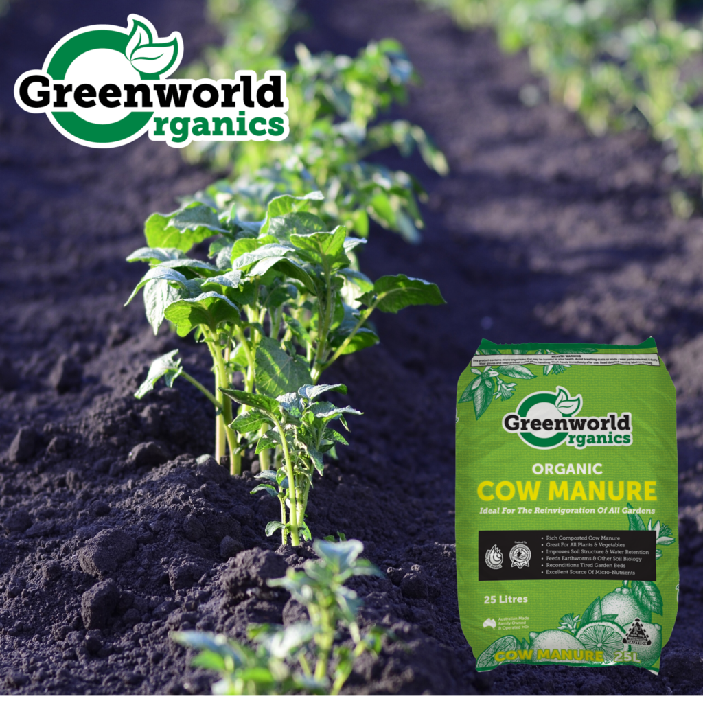 Cow Manure Coastal Sand & Soil